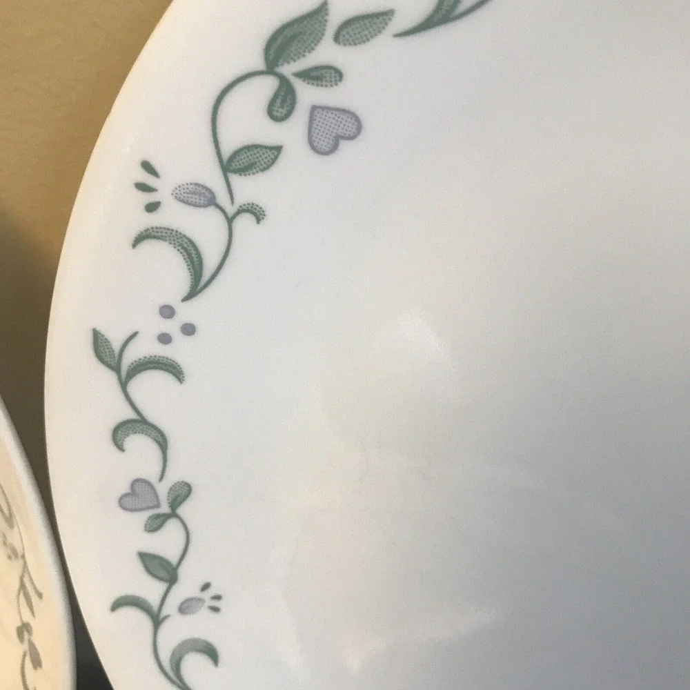 Corelle Country Cottage Dinnerware  dinner‎ plates set of 2